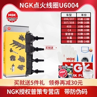 C4/Elysee/Sega/Picasso 1.6