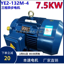 YE2 series three-phase motor YE2-132M-4 7 5KW 4-pole three-phase asynchronous motor motor