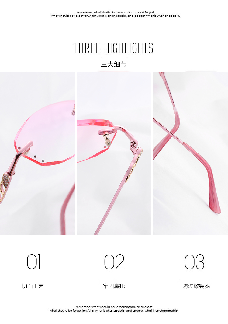 Montures de lunettes      en Alliage de titane - Ref 3139355 Image 19