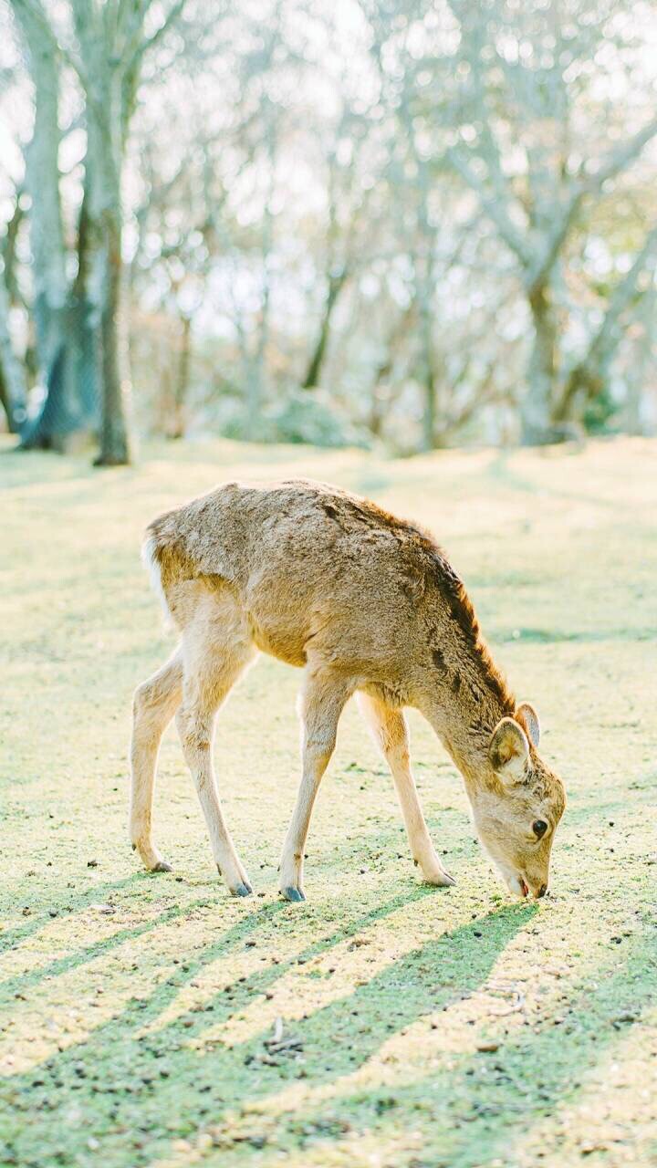 最適合做壁紙的照片 你手機裏有嗎 淘寶海外