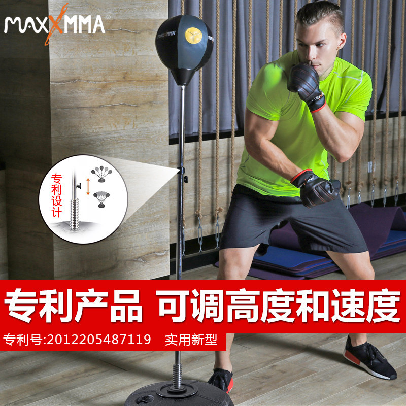 boxing training equipment for home