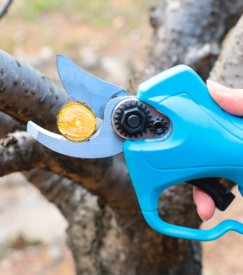 Садовые ножницы_07