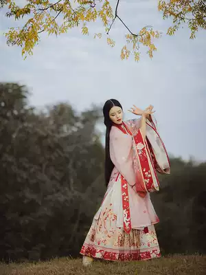 Han Fengyin (beauty bone)Original Ming cloak printing embroidery stand-up collar horse face skirt Medium and long version of Hanfu