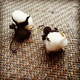 DIY Dry ​​Flower Eternal Flower zakka mini маленький орнамент эвкалипт фрукты проса хлопковой десять