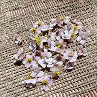 Вишневый розовый