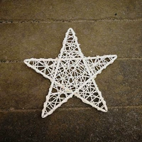 Белый пять -звездный 25 см