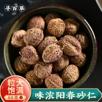 Search for herbal medicine Chinese herbal medicine spring sands Renyang Spring special production and nourishing stomach sarin Chinese traditional Chinese medicine Yangchun spring sand spring sarin kernel 60g non-500g