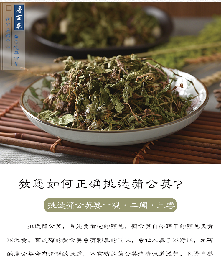 蒲公英_11.jpg