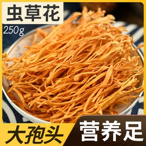 Нахождение Cordyceps Cordyceps высушенное в цветочном супу материал. Особочечный непадает лучшие cordyceps cordyceps cordyceps gold cordyceps big spore head 250g