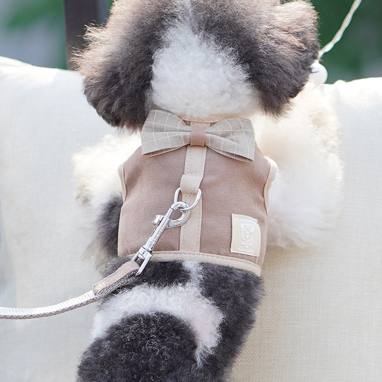 Puppy Rope Leash Vest Harness Pomeranian Teddy Bichon Small Dog Cat Cute Pet Supplies