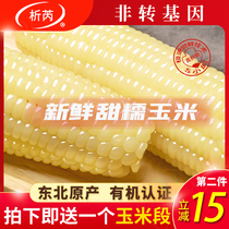 Xirui Organic Sweet Glutinous Corn Cob 10 Northeast vacuum fresh sticky sticky freshly picked glutinous rice White glutinous corn ready-to-eat