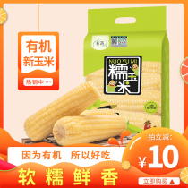 (Bad fruit package)Xirui Organic Sweet Waxy Corn Cob 10 vacuum fresh sticky sticky white Northeast non-GMO