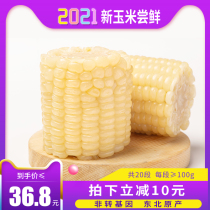 Analysis: Northeast white waxy sweet corn segment 20 non-GMO vacuum sticky waxy corn sweet heating ready-to-eat whole grains