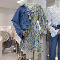 JSBABA 2023 Spring - dress - dress female with a thin sleeved dress printed on new French vintage Lotus Leaf