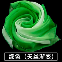 Градиент Sky Green 48*48 см