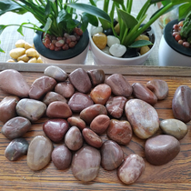Natural Nanjing Yuhua Stone Original Stone Flower Pot Gardening Pebble Fish Tank Red Small Stone Garden Stone Decoration Fleshy