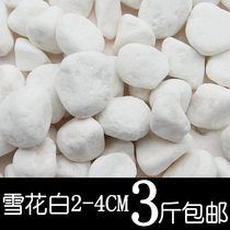 Pebbles Natural Small Stone Rain Flower Stone White Little Stone White Pebble Flower Pot Planting Fleshy Decorative Pavement
