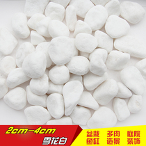 (10kg) fleshy decorative pebble flower pot plant paving stone colorful stone cobblestone white stone courtyard