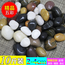 (10kg) Natural Nanjing Yuhua Stone Original Stone Flower Pot Gardening Pebble Fish Tank Stone Small Stone Garden