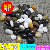 (10 Jin) Natural Nanjing Yuhua Stone Original Flower Pot Gardening Pebble Fish Tank Stone Small Stone Garden