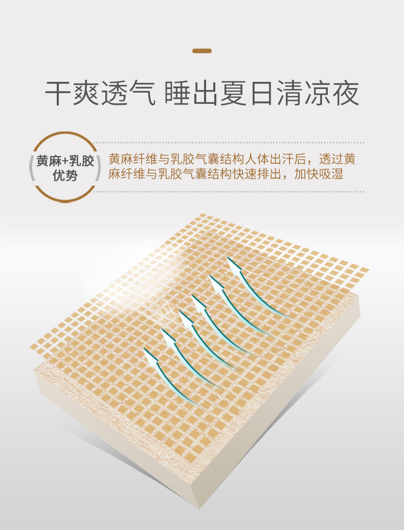 Nệm cao su thiên nhiên Xile Xuân Thái 5cm thêm đay 1,8m1,5m gạo mủ nhập khẩu có thể tùy chỉnh - Nệm đệm nước