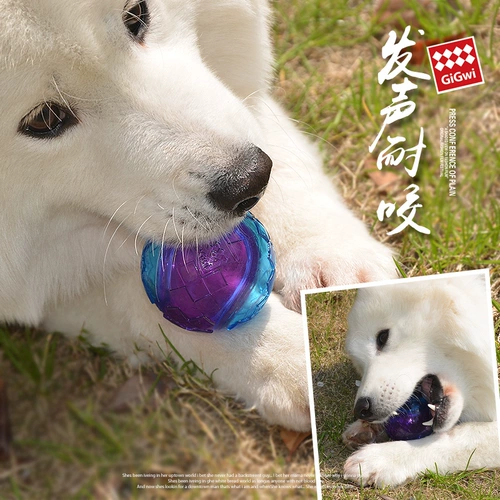 Gigwi Dog Toy Toy Ballestaint Bit