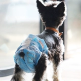 Физиологичные штаны, салфетки, безопасная гигиеническая прокладка