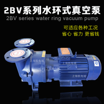 Zibo water ring vacuum pump 2BV series 2BV2060 Boshan water ring pump 2BV2061 engraving machine vacuum pump