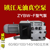 Zhenjiang Isge Yongdun Tongyou Gas Pump ZYBW60E ZYBW80E ZYBW80F ZYBW140E