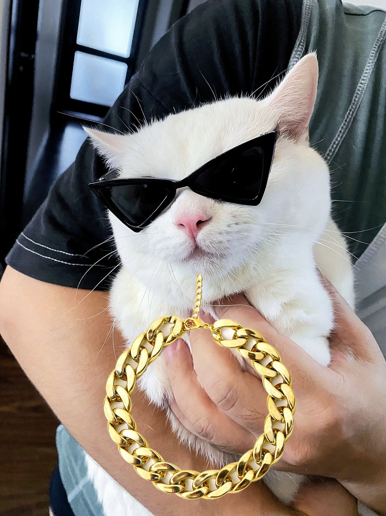 猫咪狗狗也能戴墨镜？揭秘萌宠时尚新宠！-其它服饰配件-淘宝好物网, image size:1499x2000