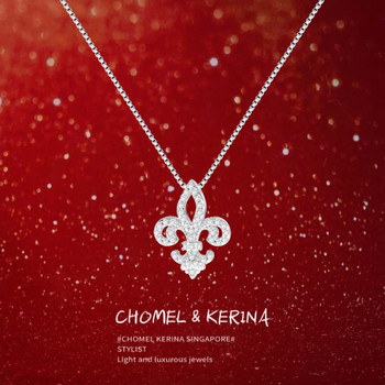 Iris S999 Sterling Silver Necklace for Women, Light Luxury, Niche, High-End Clavicle Chain, Gift for Girlfriend's Birthday