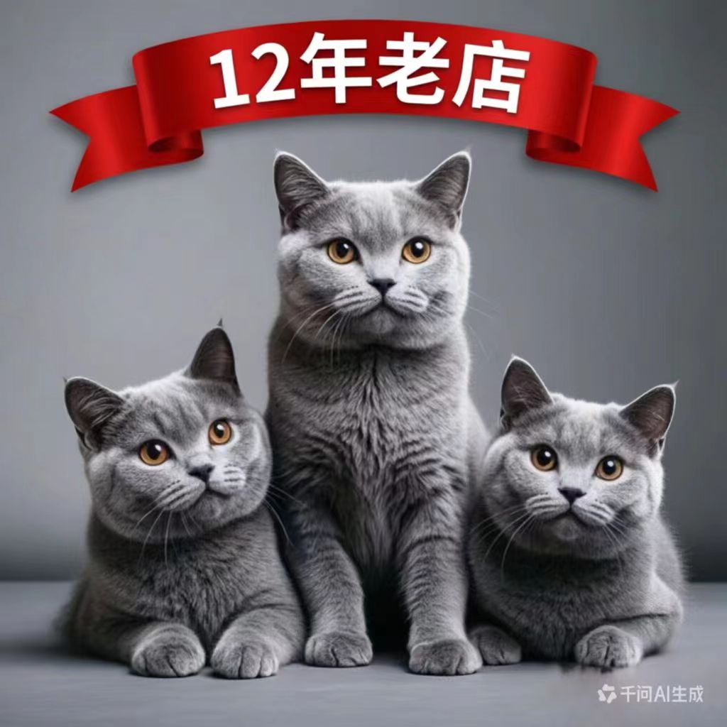 深圳市宝安区闹闹宠物馆