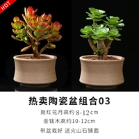 Деньги -джи Хонхуа ежемесячно