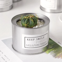 Sunrise -Silver Tibet [Crown Wall 4-5 см]