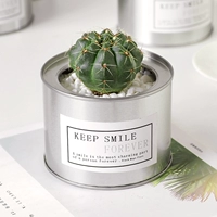 Fairy Jade -silver Bar [Crown Wall 4-5 см]