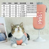 Кошачья одежда осенняя одежда весенняя одежда осень и зима милый синий кот анти -фар -меховой котен