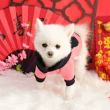 Новая годовалая одежда для собак зима Донар Новый год Маленькие щенки, чем медведя плюшевые домашние животные падают осень и зимние празднования