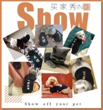 Кошачья одежда осенняя одежда анти -хар