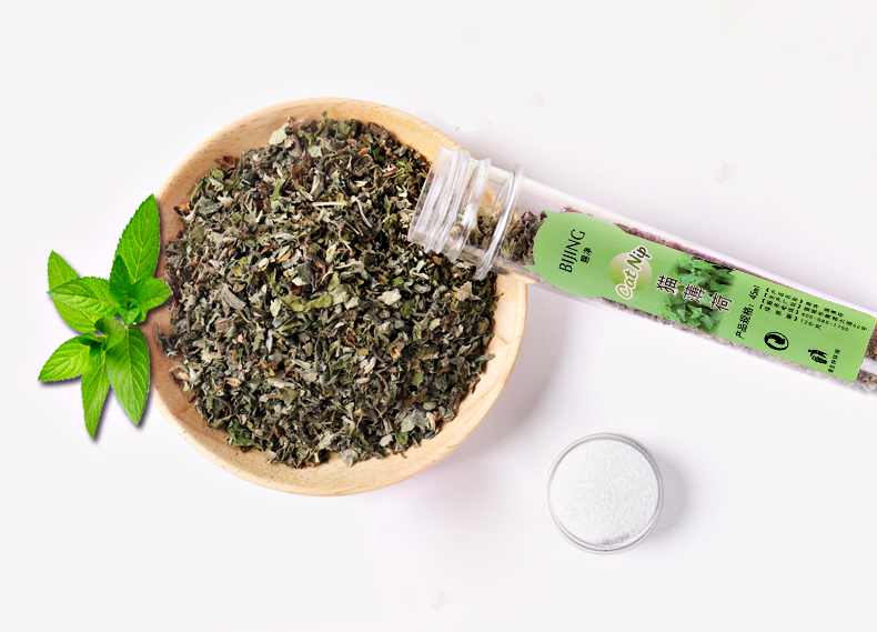 Catnip Loại trừ bóng tóc Làm sạch bằng miệng Mèo Bạc hà Bột cỏ Thúc đẩy quá trình tiêu hóa Cat Grass Cat Snack Cat Cung cấp - Đồ ăn nhẹ cho mèo royal canin mèo