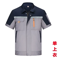 Тибетские синие боевые светлые синглы (обратные термины)