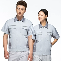 (Deluxe Edition) Светло -серый и глубокий серый набор воротничков