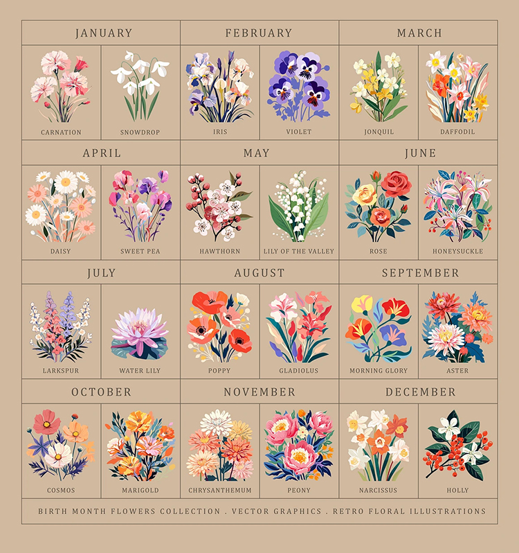 图片[2]-24款时尚扁平化出生月花卉植物鲜花手绘插图装饰插画ai矢量素材-cg男孩