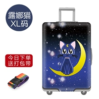 Роза красная