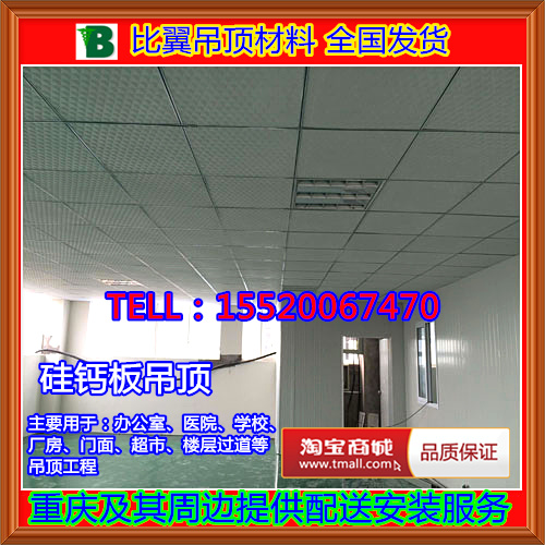 Chongqing Manufacturer Direct Selling Silicon Calcium Plate Suspended Ceiling High Crystal Plate Ant Caterpillar Pore Perforated National Shipping