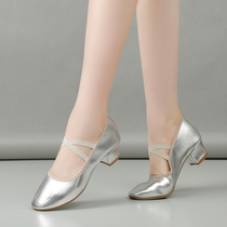 Silver professional dance shoes female summer soft sole practice shoes outside the square dance shoes flat bulff soles anti-slip dance shoes