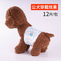 Public dog special urine not wet pet paper Diaper Pants Physiology Pants Underwear Puppy Teddico fund Mao anti-harassment pants