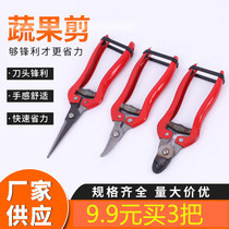 Nest type fruit handle scissors nest scissors apple pear tomato fruit picking shears navel orange fruit handle shears fruit picking shears pruning scissors