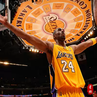 NBA科比背景墙纸壁画篮球场馆墙布詹姆斯库里湖人队冠军球星壁纸