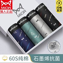 Cat whole cotton graphene antibacterial mens underwear male pure cotton flat corner pants guys summer breathable four-corner shorts head