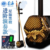 Xinghai mun erhu 8726 nhạc cụ chuyên nghiệp chơi mun cửa hàng erhu người mới bắt đầu phân loại nhạc cụ đàn nhị - Nhạc cụ dân tộc đàn nhị hồ